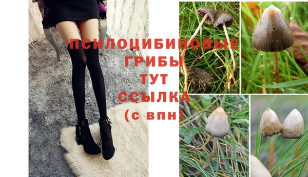 бошки Беломорск