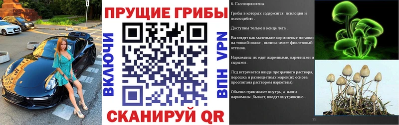 Галлюциногенные грибы прущие грибы  Нестеров 